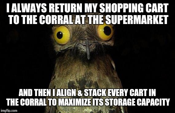 Maybe it's OCD; or just empathy for bag boys. | I ALWAYS RETURN MY SHOPPING CART TO THE CORRAL AT THE SUPERMARKET AND THEN I ALIGN & STACK EVERY CART IN THE CORRAL TO MAXIMIZE ITS STORAGE  | image tagged in memes,weird stuff i do potoo,AdviceAnimals | made w/ Imgflip meme maker