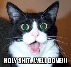 Surprised Cat | HOLY SHIT...WELL DONE!!! | image tagged in surprised cat | made w/ Imgflip meme maker