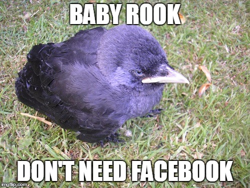 BABY ROOK DON'T NEED FACEBOOK | made w/ Imgflip meme maker