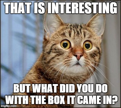 THAT IS INTERESTING BUT WHAT DID YOU DO WITH THE BOX IT CAME IN? | image tagged in cat,box,couch,indiferance | made w/ Imgflip meme maker