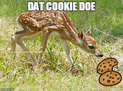 DAT COOKIE DOE | made w/ Imgflip meme maker