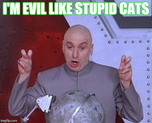 Dr Evil Laser Meme | I'M EVIL LIKE STUPID CATS | image tagged in memes,dr evil laser | made w/ Imgflip meme maker
