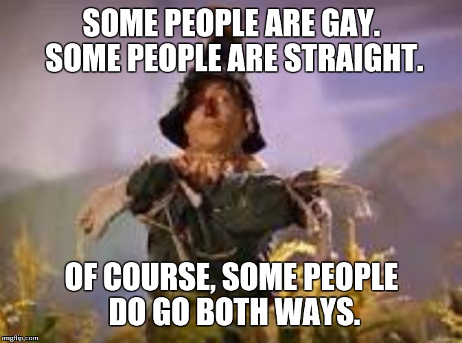 SOME PEOPLE ARE GAY. SOME PEOPLE ARE STRAIGHT. OF COURSE, SOME PEOPLE DO GO BOTH WAYS. | image tagged in scarecrow,wizard of oz | made w/ Imgflip meme maker