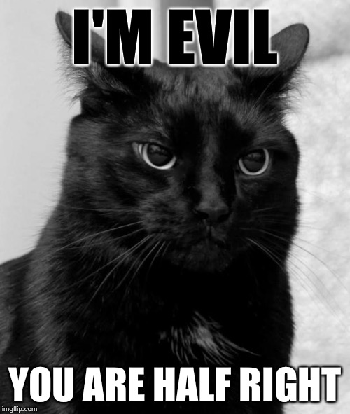 pissed cat | I'M EVIL YOU ARE HALF RIGHT | image tagged in pissed cat | made w/ Imgflip meme maker
