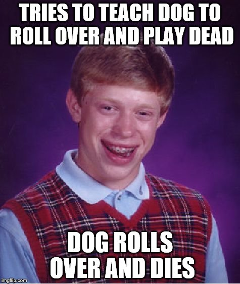 Bad Luck Brian Meme | TRIES TO TEACH DOG TO ROLL OVER AND PLAY DEAD DOG ROLLS OVER AND DIES | image tagged in memes,bad luck brian | made w/ Imgflip meme maker