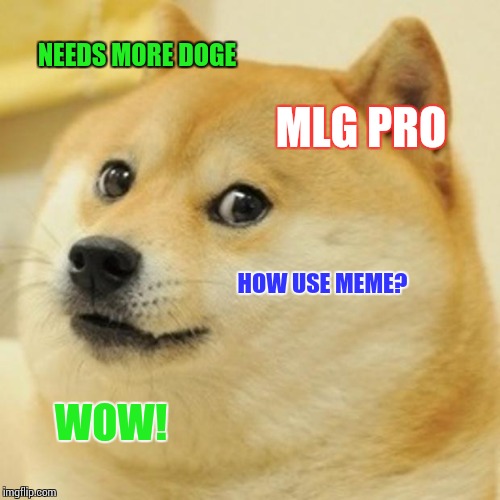 Doge Meme | NEEDS MORE DOGE MLG PRO HOW USE MEME? WOW! | image tagged in memes,doge | made w/ Imgflip meme maker