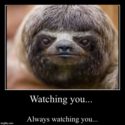 Sloths are watching | image tagged in demotivationals,sloth | made w/ Imgflip demotivational maker