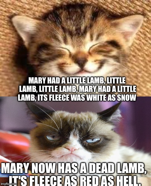 Mary had a dead lamb | MARY HAD A LITTLE LAMB,LITTLE LAMB, LITTLE LAMB,MARY HAD A LITTLE LAMB,ITS FLEECE WAS WHITE AS SNOW MARY NOW HAS A DEAD LAMB, IT'S FLEECE | image tagged in memes,grumpy cat | made w/ Imgflip meme maker