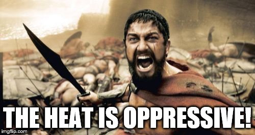 Sparta Leonidas Meme | THE HEAT IS OPPRESSIVE! | image tagged in memes,sparta leonidas | made w/ Imgflip meme maker
