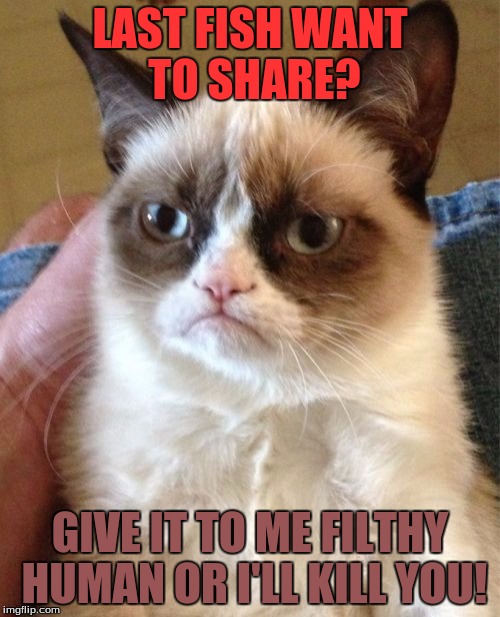 Grumpy Cat " Filthy Human!"
 | LAST FISH WANT TO SHARE? GIVE IT TO ME FILTHY HUMAN OR I'LL KILL YOU! | image tagged in memes,grumpy cat | made w/ Imgflip meme maker