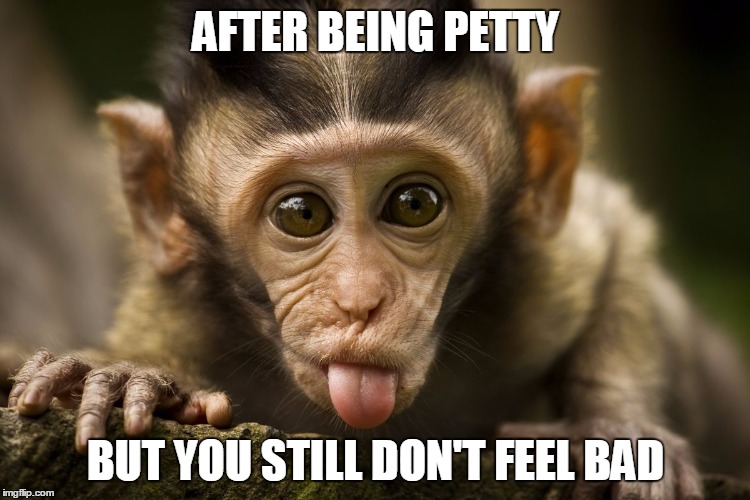 AFTER BEING PETTY BUT YOU STILL DON'T FEEL BAD | image tagged in petty,pets,best friends,attitude,ex girlfriend,angry woman | made w/ Imgflip meme maker