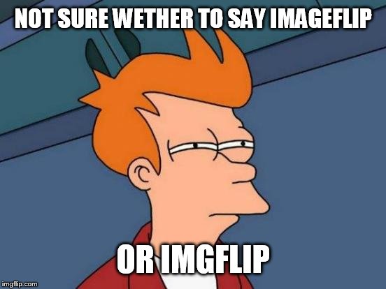Futurama Fry Meme | NOT SURE WETHER TO SAY IMAGEFLIP OR IMGFLIP | image tagged in memes,futurama fry | made w/ Imgflip meme maker