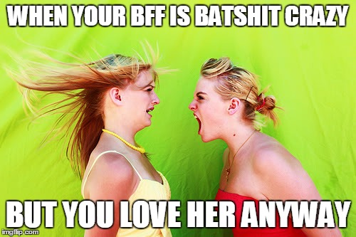 WHEN YOUR BFF IS BATSHIT CRAZY BUT YOU LOVE HER ANYWAY | image tagged in best friends,besties,squad,friends | made w/ Imgflip meme maker