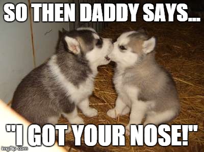 Cute Puppies | SO THEN DADDY SAYS... "I GOT YOUR NOSE!" | image tagged in memes,cute puppies | made w/ Imgflip meme maker