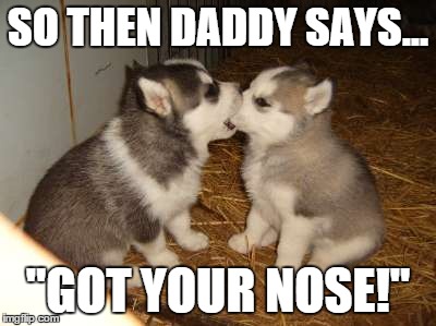 Cute Puppies | SO THEN DADDY SAYS... "GOT YOUR NOSE!" | image tagged in memes,cute puppies | made w/ Imgflip meme maker