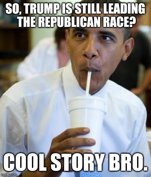 Is anyone benefiting from Trump's popularity more than the Democrats? | SO, TRUMP IS STILL LEADING THE REPUBLICAN RACE? COOL STORY BRO. | image tagged in memes,barack obama,donald trump,cool story bro | made w/ Imgflip meme maker