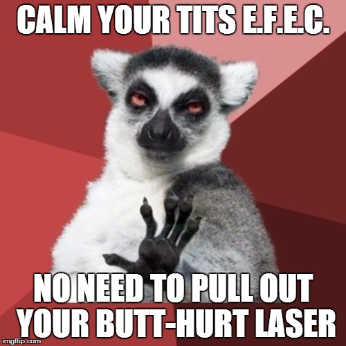 Tom Clancy's: Endwar | CALM YOUR TITS E.F.E.C. NO NEED TO PULL OUT YOUR BUTT-HURT LASER | image tagged in memes,chill out lemur | made w/ Imgflip meme maker