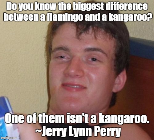 Deep thoughts... | Do you know the biggest difference between a flamingo and a kangaroo? One of them isn't a kangaroo. ~Jerry Lynn Perry | image tagged in 10 guy,animals,stoner philosophy | made w/ Imgflip meme maker