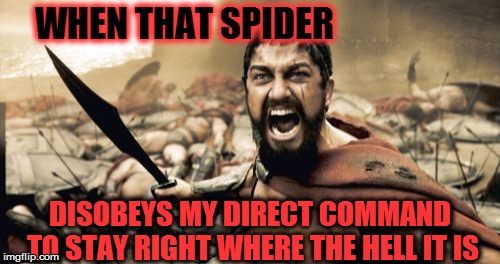 Sparta Leonidas Meme | WHEN THAT SPIDER DISOBEYS MY DIRECT COMMAND TO STAY RIGHT WHERE THE HELL IT IS | image tagged in memes,sparta leonidas | made w/ Imgflip meme maker