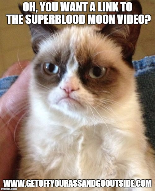 one of my facebook friends asked on the night of the blood moon | OH, YOU WANT A LINK TO THE SUPERBLOOD MOON VIDEO? WWW.GETOFFYOURASSANDGOOUTSIDE.COM | image tagged in memes,grumpy cat | made w/ Imgflip meme maker