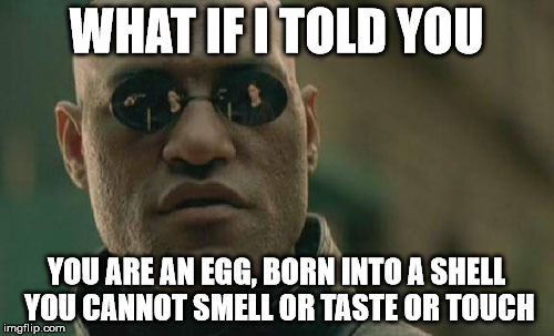 Matrix Morpheus Meme | WHAT IF I TOLD YOU YOU ARE AN EGG, BORN INTO A SHELL YOU CANNOT SMELL OR TASTE OR TOUCH | image tagged in memes,matrix morpheus | made w/ Imgflip meme maker