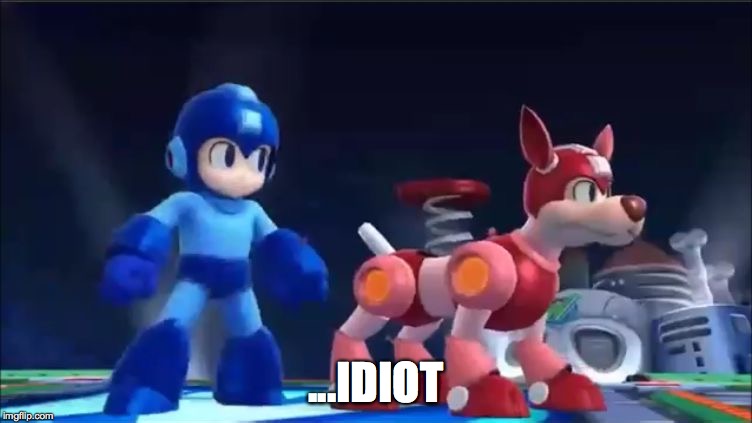 Megaman and Rush | ...IDIOT | image tagged in megaman and rush | made w/ Imgflip meme maker