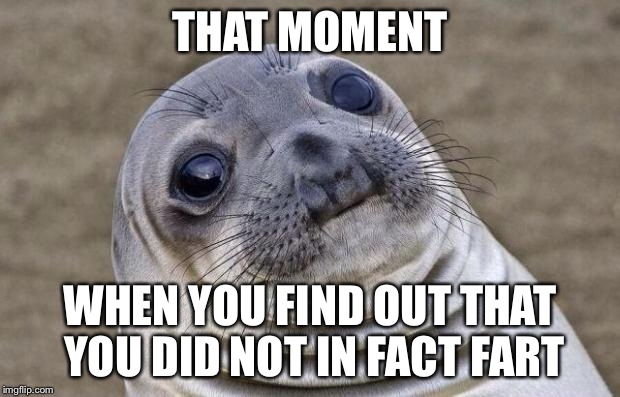 Awkward Moment Sealion | THAT MOMENT WHEN YOU FIND OUT THAT YOU DID NOT IN FACT FART | image tagged in memes,awkward moment sealion | made w/ Imgflip meme maker