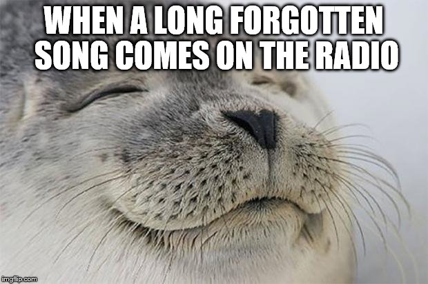 Satisfied Seal | WHEN A LONG FORGOTTEN SONG COMES ON THE RADIO | image tagged in memes,satisfied seal | made w/ Imgflip meme maker
