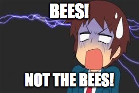 Kyon shocked | BEES! NOT THE BEES! | image tagged in kyon shocked | made w/ Imgflip meme maker
