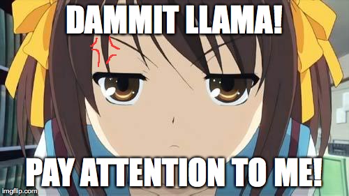 Haruhi stare | DAMMIT LLAMA! PAY ATTENTION TO ME! | image tagged in haruhi stare | made w/ Imgflip meme maker