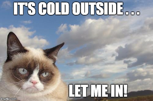Grumpy Cat Sky Meme | IT'S COLD OUTSIDE . . . LET ME IN! | image tagged in memes,grumpy cat sky,grumpy cat,cat | made w/ Imgflip meme maker
