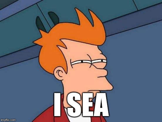 Futurama Fry Meme | I SEA | image tagged in memes,futurama fry | made w/ Imgflip meme maker