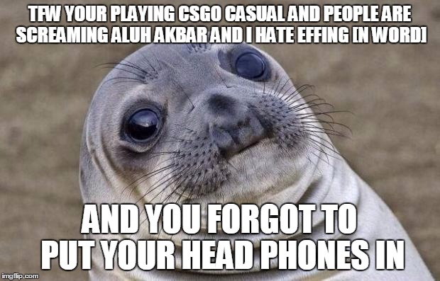 Awkward Moment Sealion | TFW YOUR PLAYING CSGO CASUAL AND PEOPLE ARE SCREAMING ALUH AKBAR AND I HATE EFFING [N WORD] AND YOU FORGOT TO PUT YOUR HEAD PHONES IN | image tagged in memes,awkward moment sealion | made w/ Imgflip meme maker