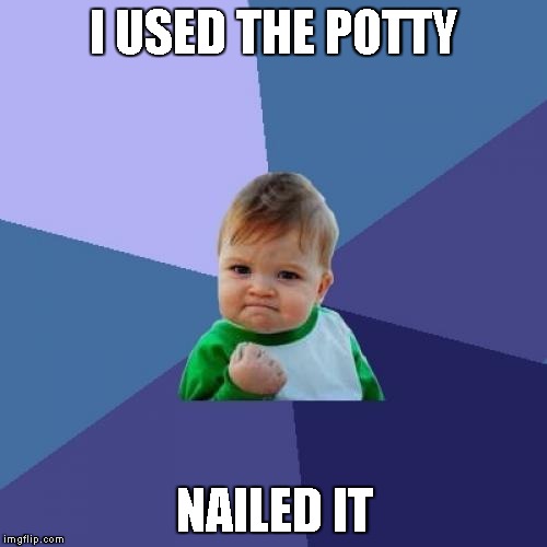 Success Kid | I USED THE POTTY NAILED IT | image tagged in memes,success kid | made w/ Imgflip meme maker