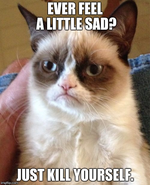 Grumpy Cat Meme | EVER FEEL A LITTLE SAD? JUST KILL YOURSELF. | image tagged in memes,grumpy cat | made w/ Imgflip meme maker