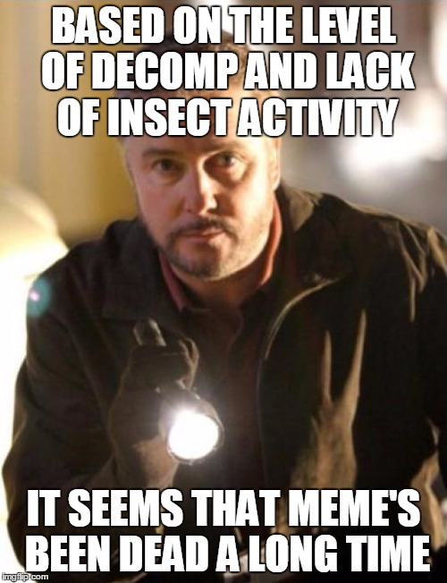 BASED ON THE LEVEL OF DECOMP AND LACK OF INSECT ACTIVITY IT SEEMS THAT MEME'S BEEN DEAD A LONG TIME | image tagged in grissom | made w/ Imgflip meme maker