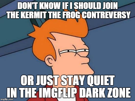 Should I?????????????? | DON'T KNOW IF I SHOULD JOIN THE KERMIT THE FROG CONTREVERSY OR JUST STAY QUIET IN THE IMGFLIP DARK ZONE | image tagged in memes,futurama fry | made w/ Imgflip meme maker