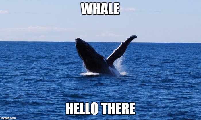 WHALE HELLO THERE | made w/ Imgflip meme maker