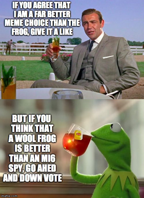 And So the None-Of-My-Business Wars Began! | IF YOU AGREE THAT I AM A FAR BETTER MEME CHOICE THAN THE FROG, GIVE IT A LIKE BUT IF YOU THINK THAT A WOOL FROG IS BETTER THAN AN MI6 SPY, G | image tagged in sean connery  kermit,kermit the frog,sean connery | made w/ Imgflip meme maker