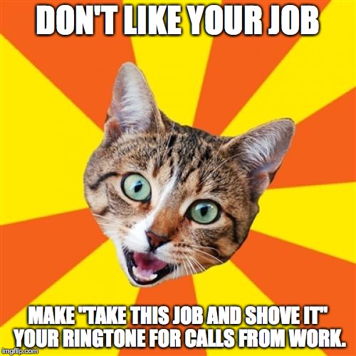 I actually did this. | DON'T LIKE YOUR JOB MAKE "TAKE THIS JOB AND SHOVE IT" YOUR RINGTONE FOR CALLS FROM WORK. | image tagged in memes,bad advice cat | made w/ Imgflip meme maker