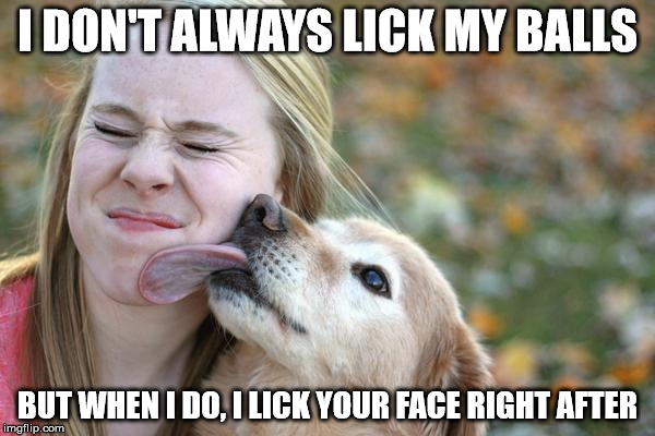 Licking Dog | I DON'T ALWAYS LICK MY BALLS BUT WHEN I DO, I LICK YOUR FACE RIGHT AFTER | image tagged in dogs,funny,funny memes,memes,licking dog,dog balls | made w/ Imgflip meme maker