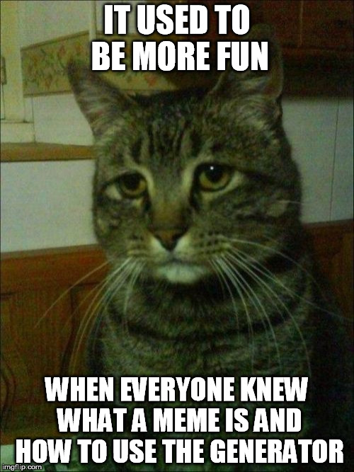 Depressed Cat Meme | IT USED TO BE MORE FUN WHEN EVERYONE KNEW WHAT A MEME IS AND HOW TO USE THE GENERATOR | image tagged in memes,depressed cat | made w/ Imgflip meme maker