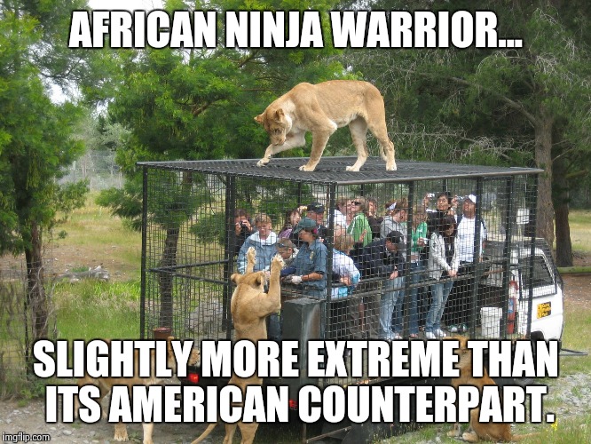 Lion cage people | AFRICAN NINJA WARRIOR... SLIGHTLY MORE EXTREME THAN ITS AMERICAN COUNTERPART. | image tagged in lion cage people | made w/ Imgflip meme maker