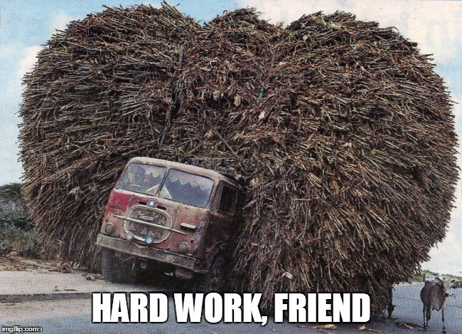 Hard Work | image tagged in hard work,work,bamboo,hard day | made w/ Imgflip meme maker