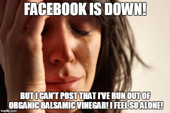 First World Problems | FACEBOOK IS DOWN! BUT I CAN'T POST THAT I'VE RUN OUT OF ORGANIC BALSAMIC VINEGAR! I FEEL SO ALONE! | image tagged in memes,first world problems | made w/ Imgflip meme maker