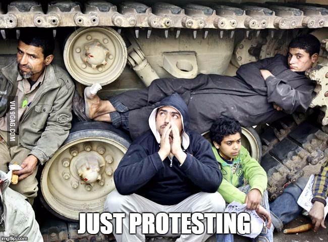 JUST PROTESTING | image tagged in meme war | made w/ Imgflip meme maker