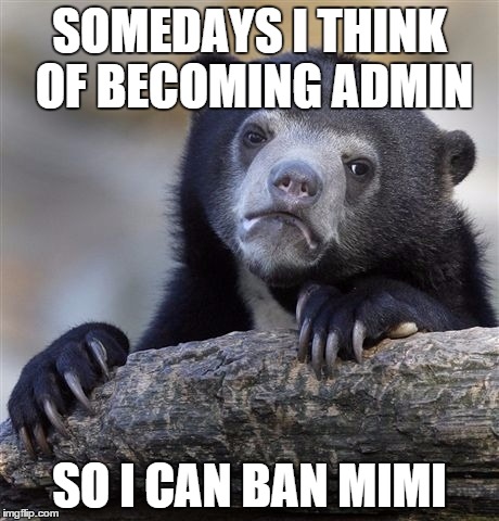 Confession Bear Meme | SOMEDAYS I THINK OF BECOMING ADMIN SO I CAN BAN MIMI | image tagged in memes,confession bear | made w/ Imgflip meme maker