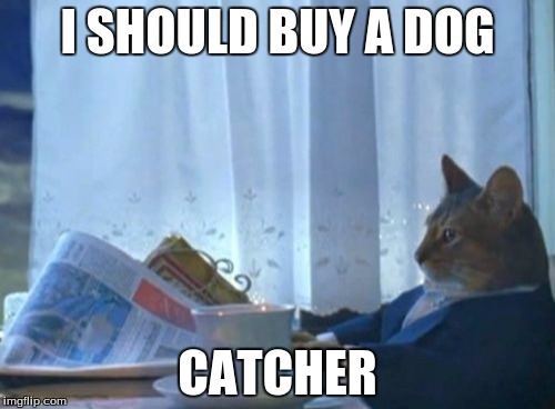 I Should Buy A Boat Cat | I SHOULD BUY A DOG CATCHER | image tagged in memes,i should buy a boat cat | made w/ Imgflip meme maker
