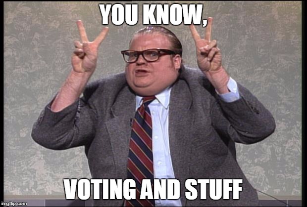 Voting | YOU KNOW, VOTING AND STUFF | image tagged in technology  stuff | made w/ Imgflip meme maker