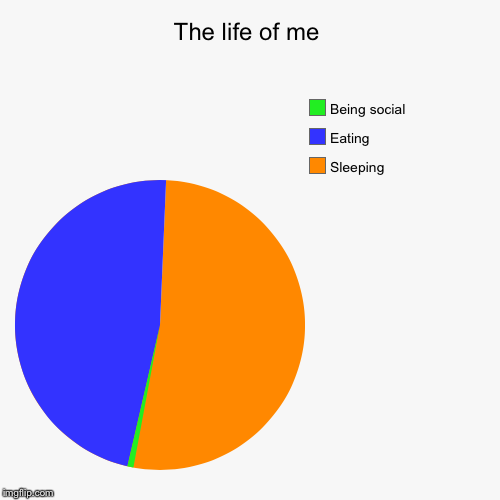 image tagged in funny,pie charts | made w/ Imgflip chart maker